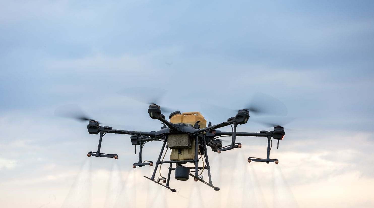 Qatar steps up mosquito control with drones and fish