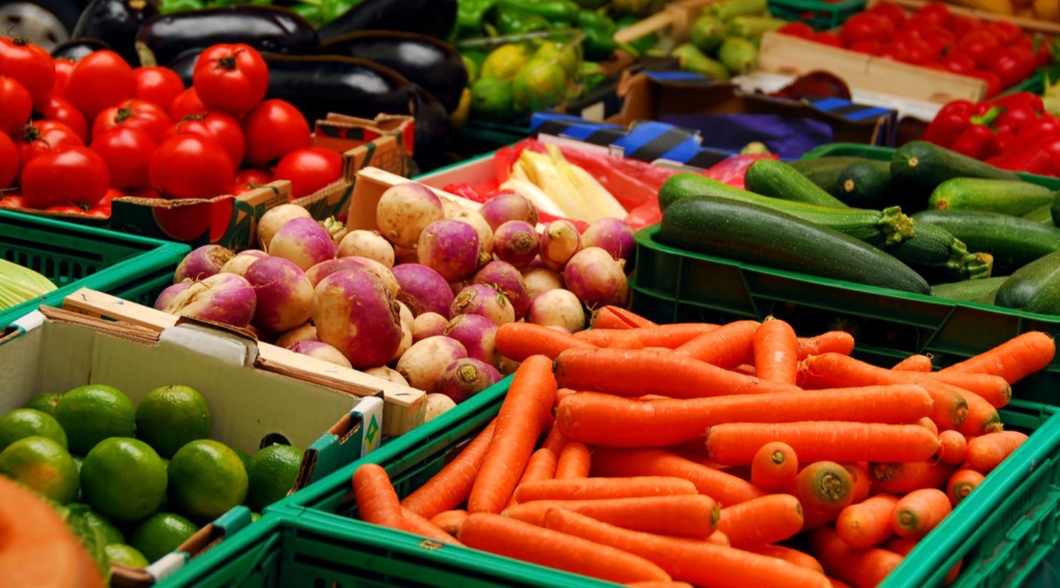 Qatar ranks first regionally in 2026 Resilient Food Systems Index