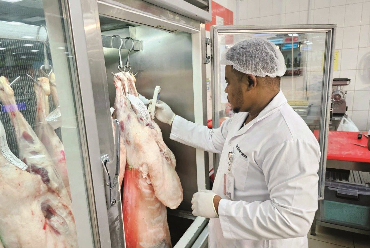 Over 14,500 Sacrificial Animals Inspected During Eid