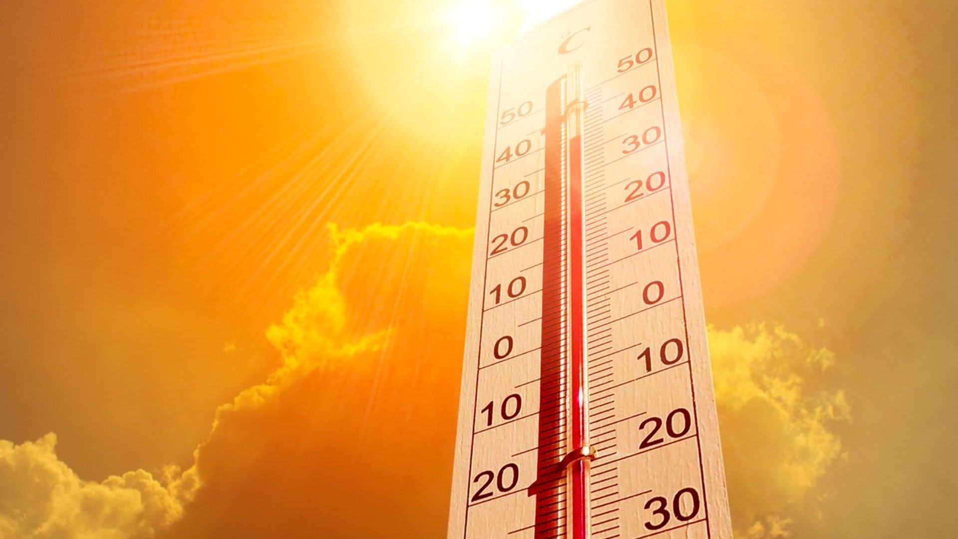 Qatar enters ‘third hottest month of the year,’ says QMD