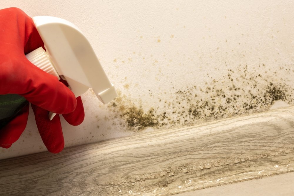 Mould & Moisture Prevention in Qatar Homes