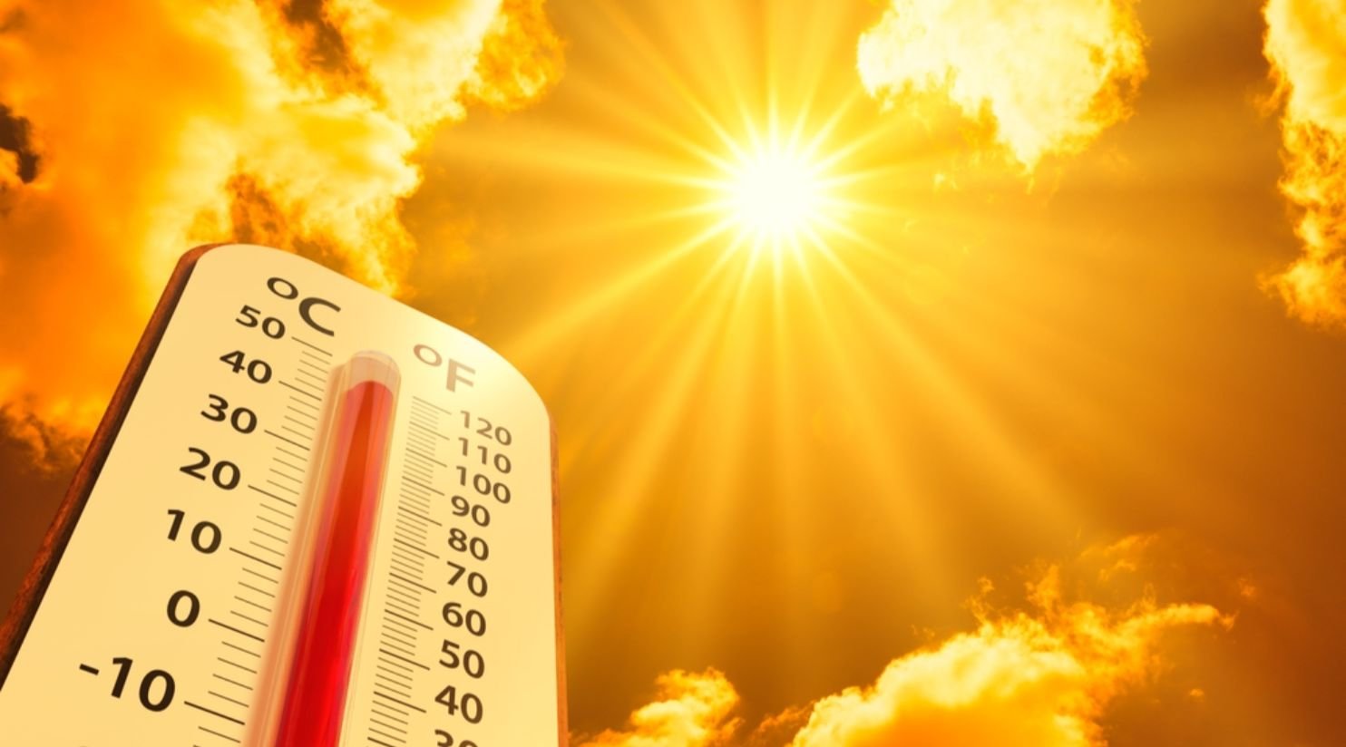 Heat Safety and Hydration Tips for Expats in Qatar