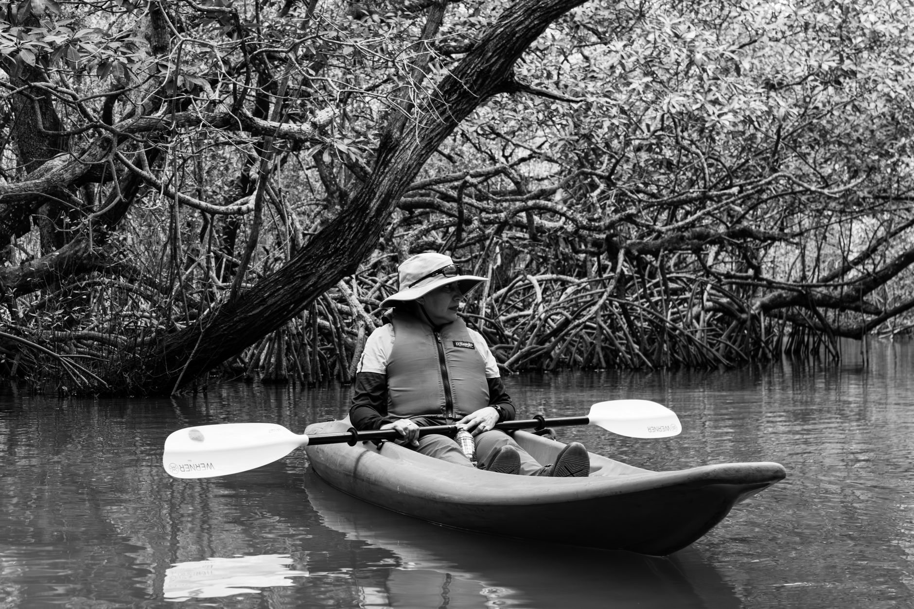 Al Thakira Mangroves Kayaking: Evening Tour Guide