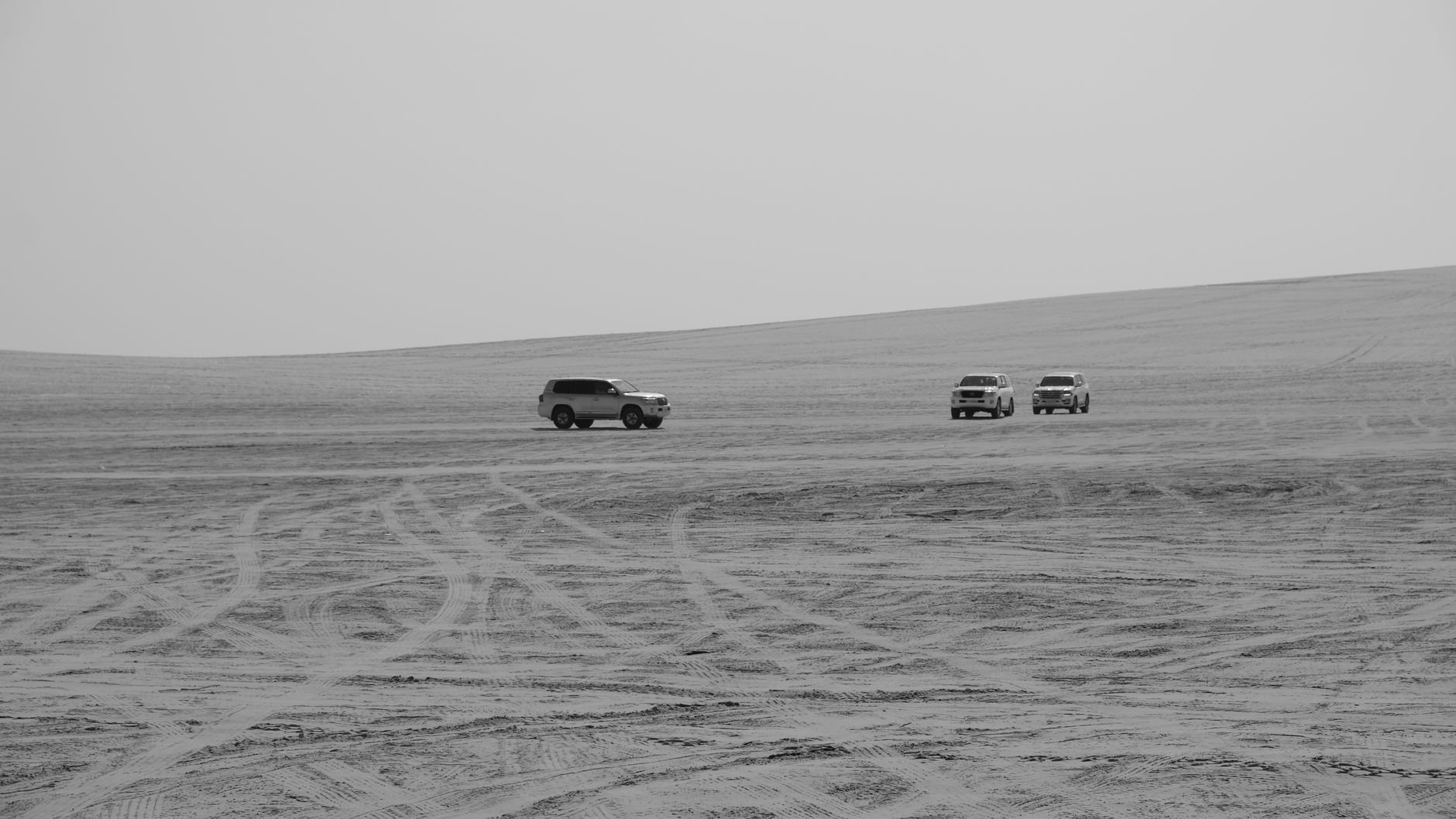 Evening Desert Safari in Qatar: Prices & What to Expect