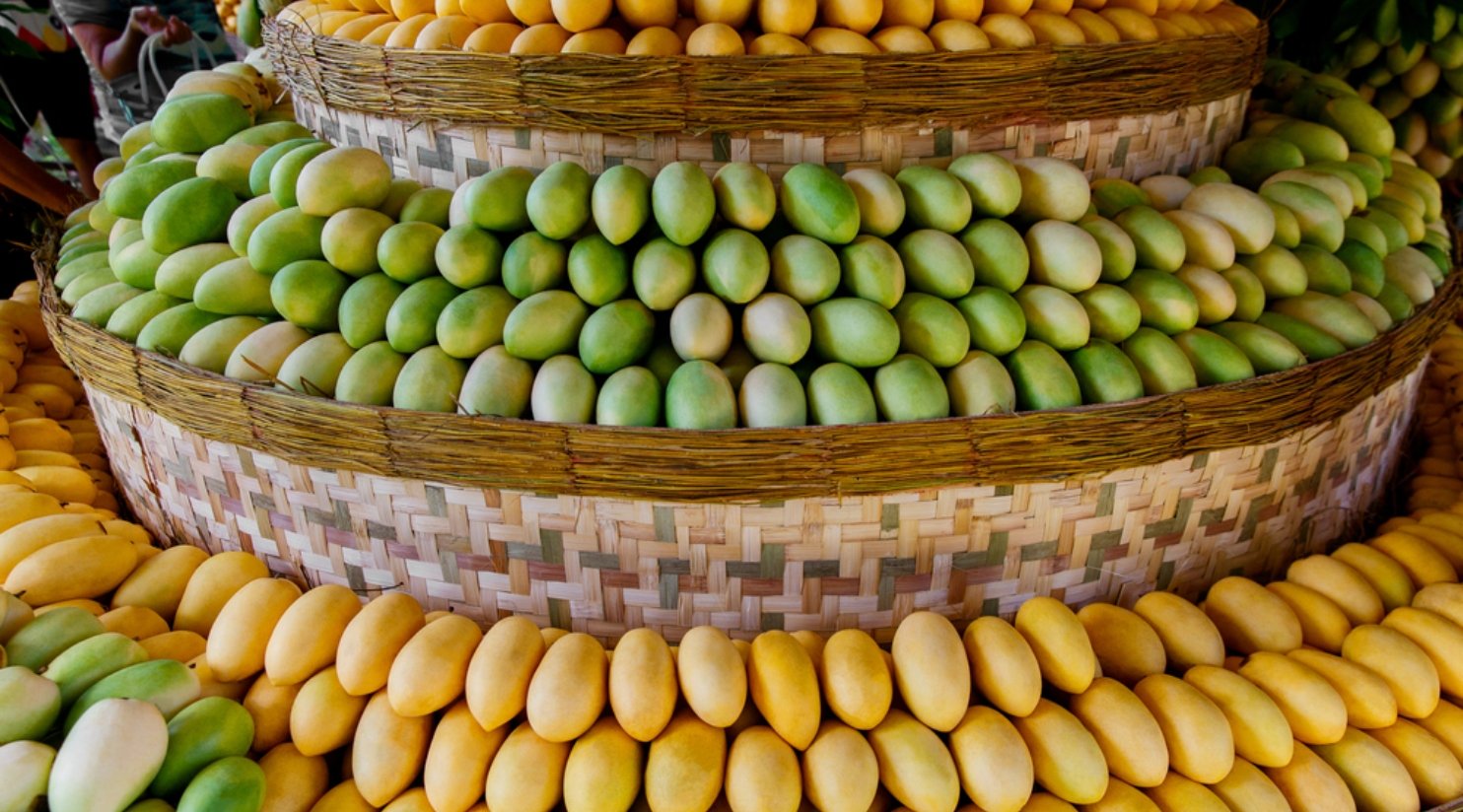 Souq Waqif extends Pakistani Mango Exhibition until July 20