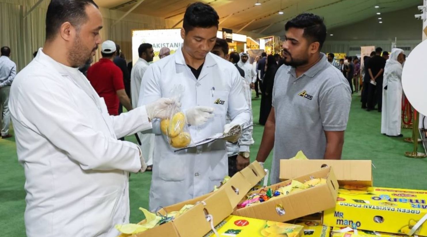 Pakistan Mango Festival draws 84,600 visitors at Souq Waqif