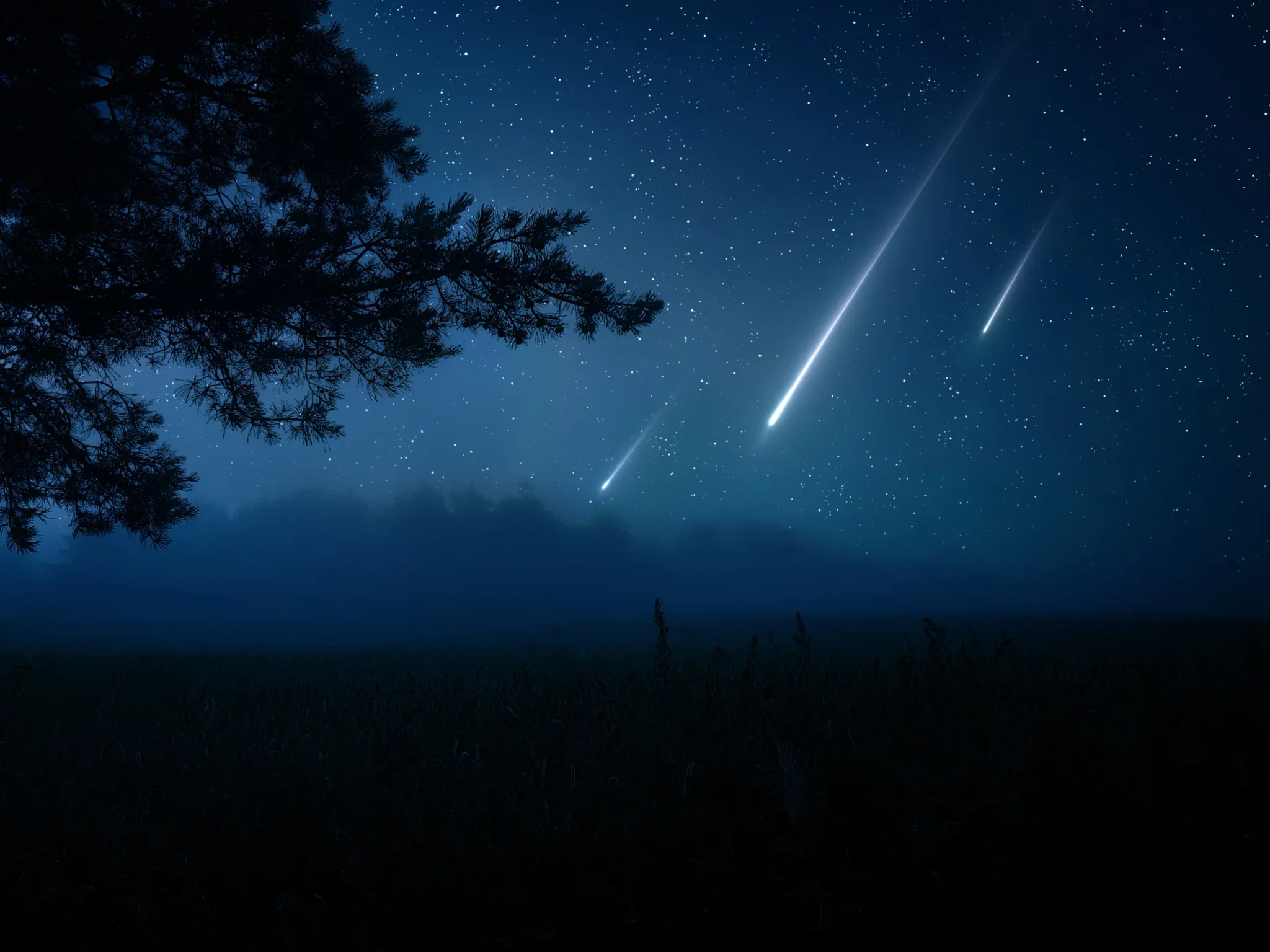 Delta Aquariid Meteor Shower Visible over Qatar from Wednesday Night