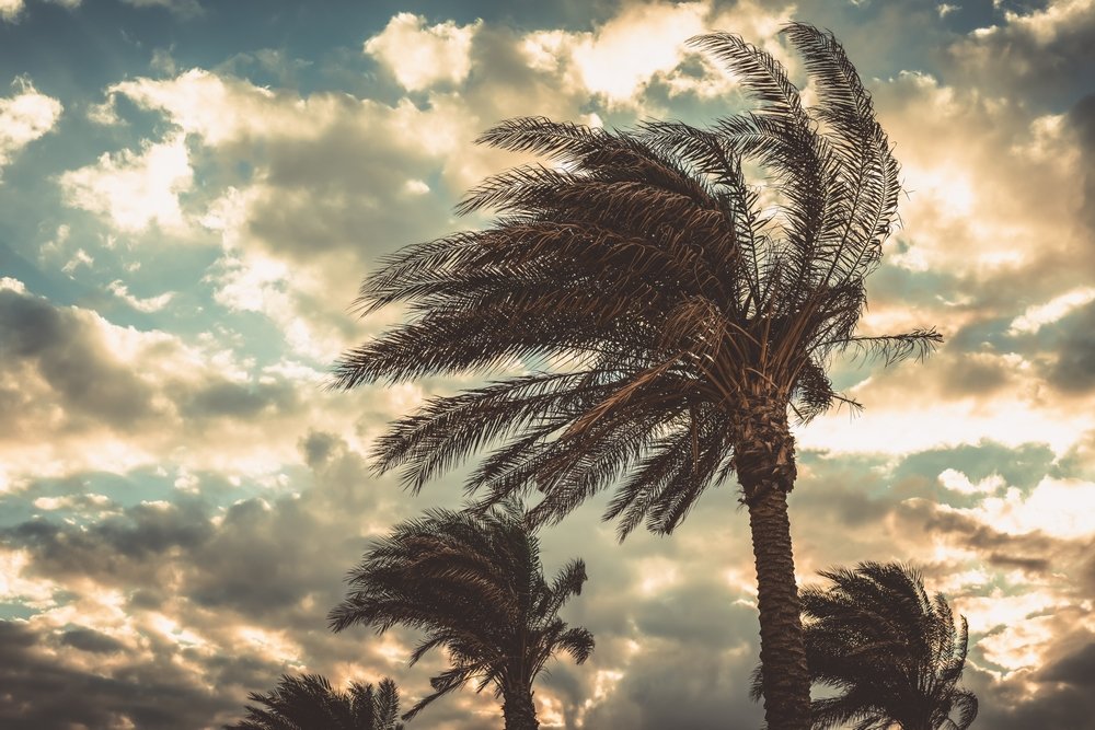 Al Zubrah season begins in Qatar on September 20, bringing cooler nights